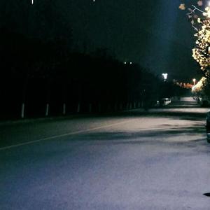 业余自由色XXX视频
