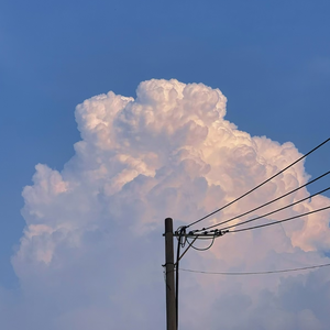 业余自由色XXX视频
